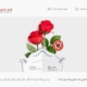 disinfectted natural flowers_zarifmosavar_anti-corona